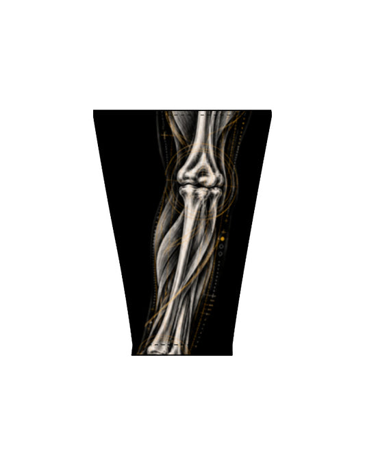 Left_Shoulder_1_c_17.jpg