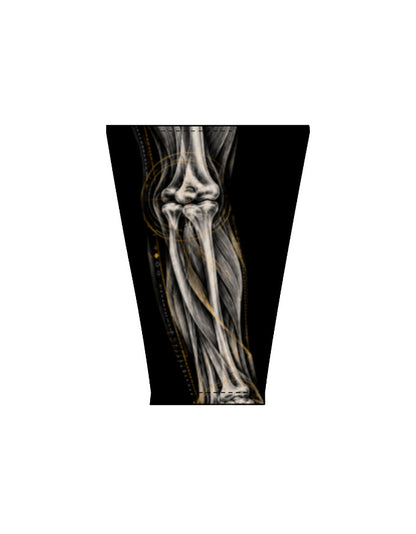 Right_Shoulder_2_c_17.jpg